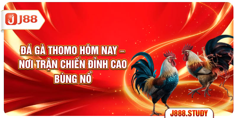 da-ga-thomo-hom-nay-noi-tran-chien-dinh-cao-bung-no