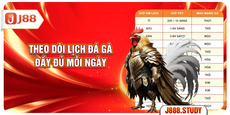 theo-doi-lich-da-ga-day-du-moi-ngay