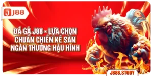 da-ga-j88-lua-chon-chuan-chien-ke-san-ngan-thuong-hau-hinh